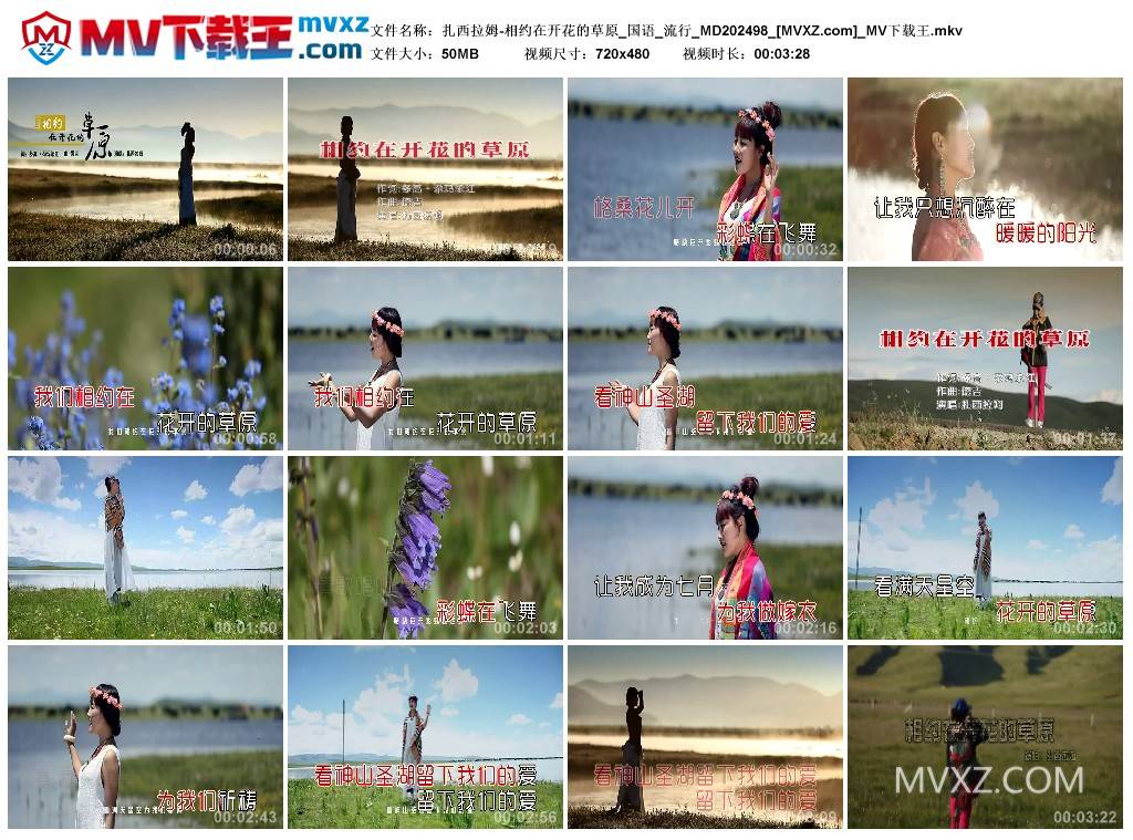 扎西拉姆-相约在开花的草原_国语_流行_MD202498